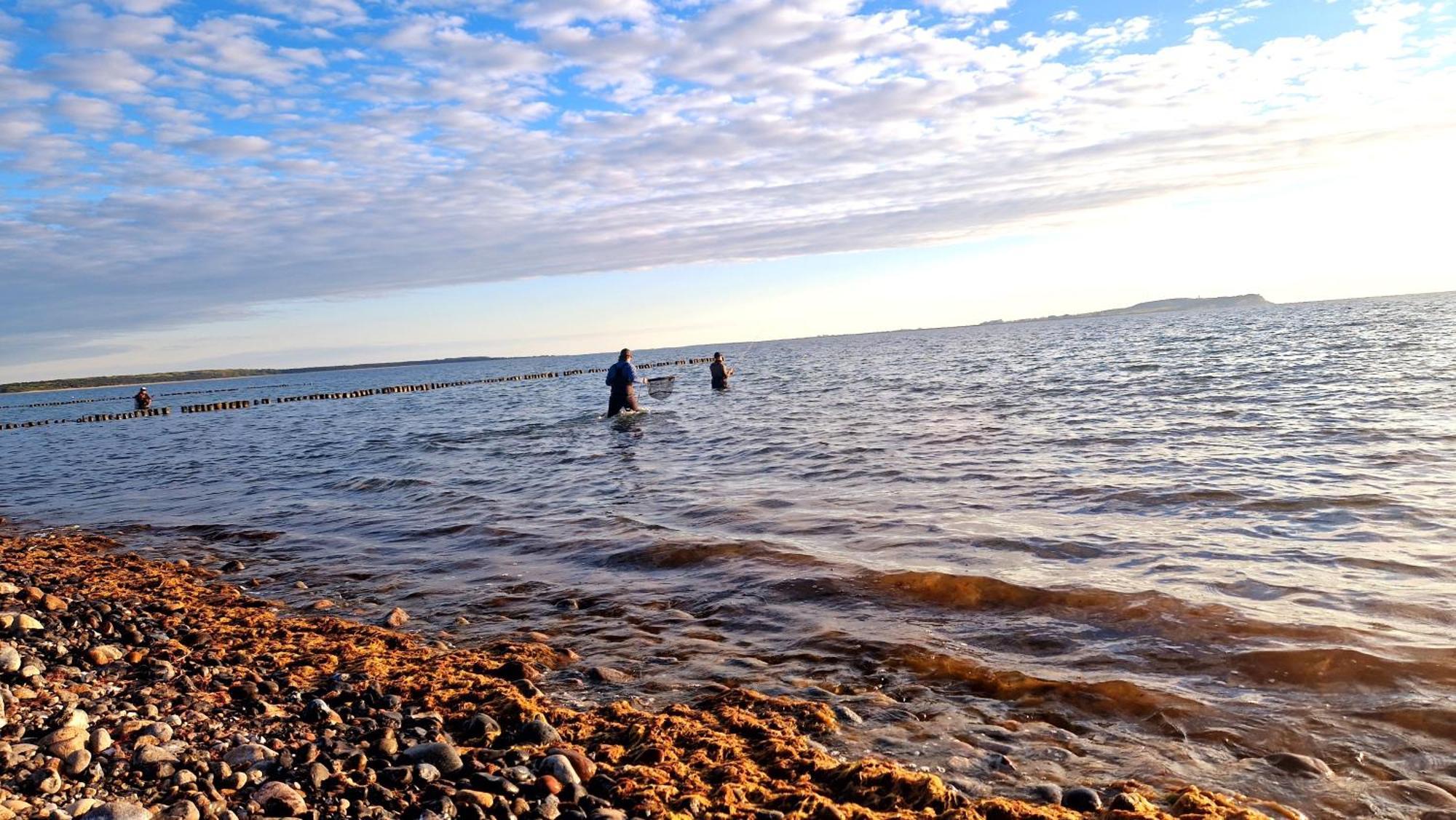 App 8O Grosser Tag Am Meer Mit Wasserblick Dranske Exterior foto